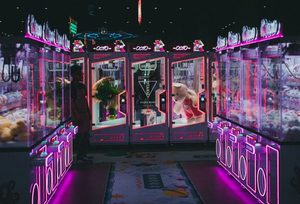 game 2026 8Day