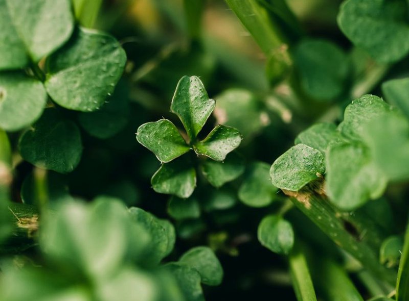 Điểm hẹn giải trí